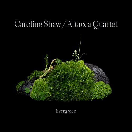 Caroline Shaw: Evergreen [CD] (ONLINE ORDER ONLY)
