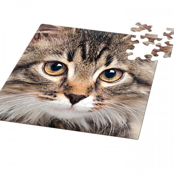Cat 66 Piece Pocket Jigsaw Puzzle Curiosi (ONLINE ORDER ONLY)