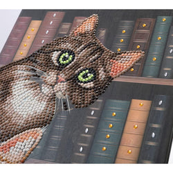 Cats in the Library Crystal Art Notebook Kit Craft Buddy (ONLINE ORDER ONLY)