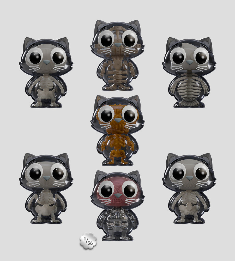 Catscans (Bare Bones) Blind Box (1 Blind Box) (ONLINE ORDER ONLY)