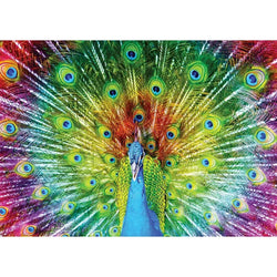 Colorful Peacock 1000 Piece Jigsaw Puzzle Enjoy (ONLINE ORDER ONLY)