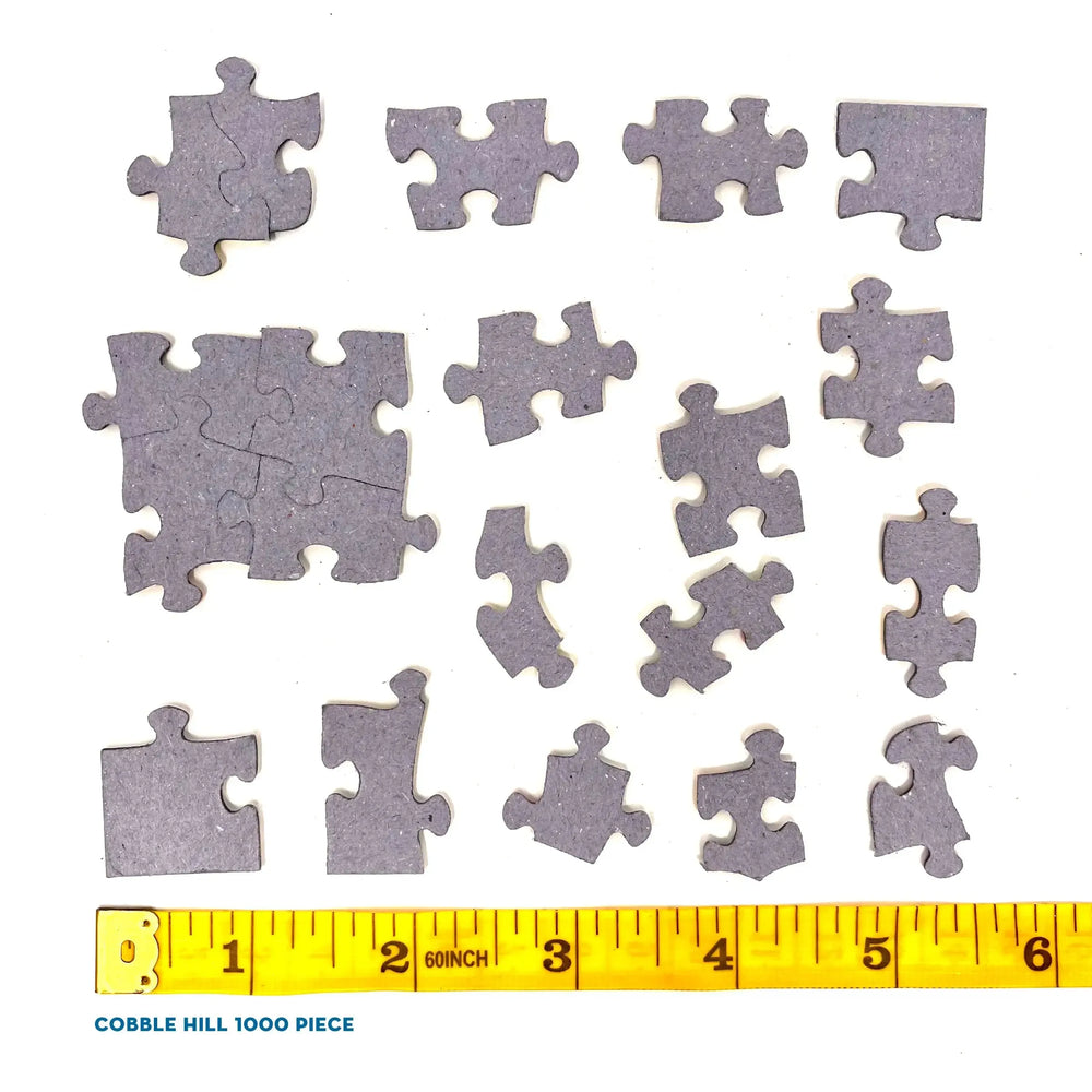 Common Loons 1000 Piece Jigsaw Puzzle Cobble Hill (ONLINE ORDER ONLY)