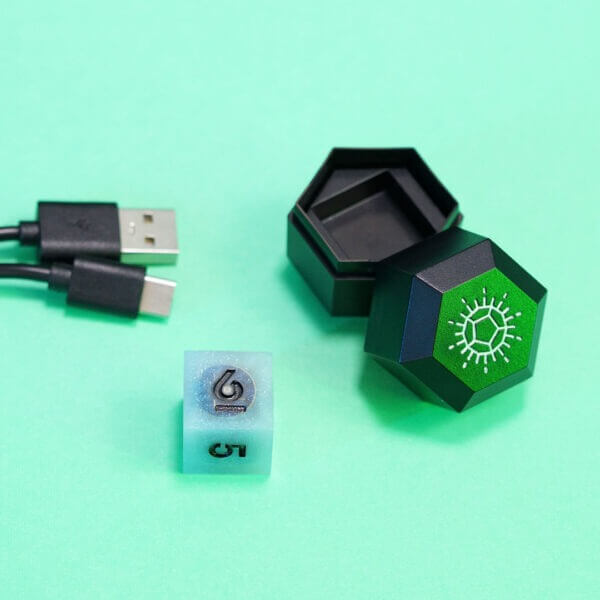 D20 - Aurora Sky (ONLINE ORDER ONLY)