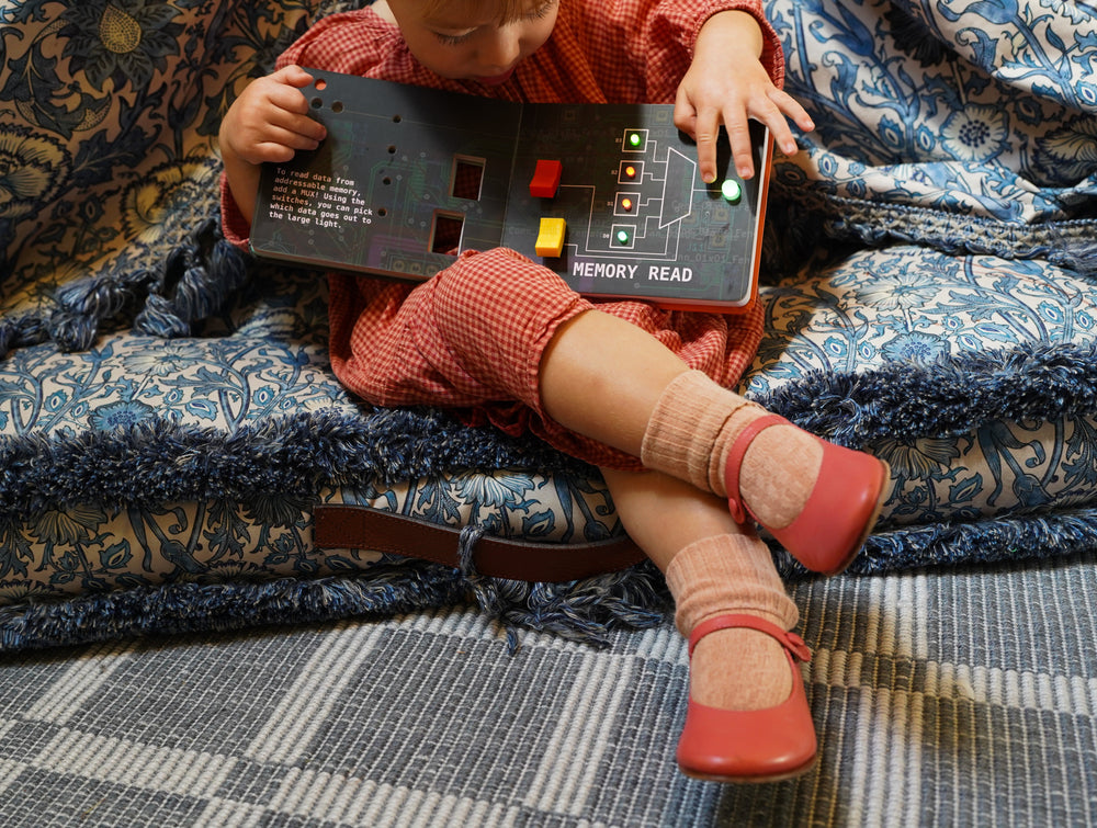 Computer Engineering for BIG Babies (ONLINE ORDER ONLY)