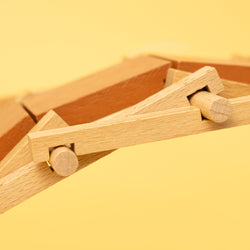 DIY Leonardo da Vinci Self-Supporting Bridge Kit (ONLINE ORDER ONLY)