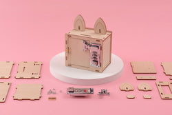 Combination Lock Box & Phone Holder DIY Kit, Educational STEM Toy (ONLINE ORDER ONLY)