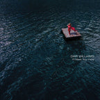 I'll Meet You Here [Vinyl]