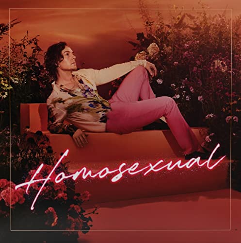 Darren Hayes - Homosexual [CD] (ONLINE ORDER ONLY)