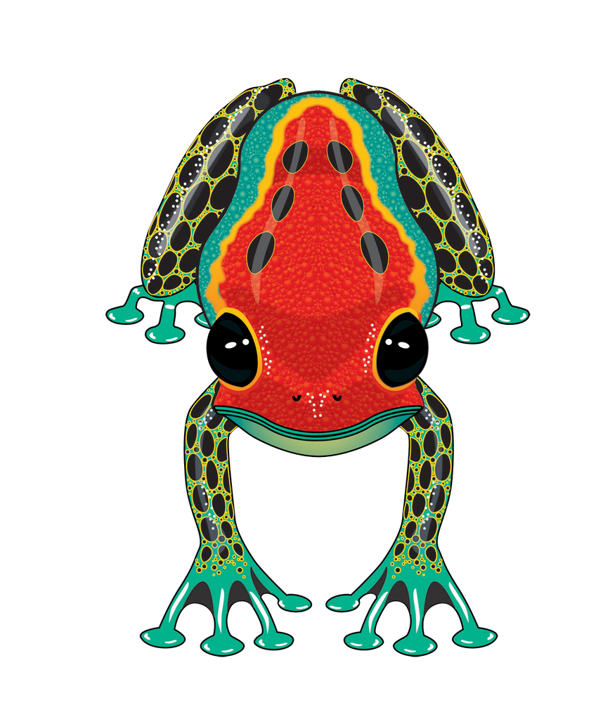 RainForest Dart Frog (ONLINE ORDER ONLY)