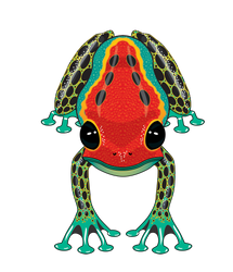 RainForest Dart Frog (ONLINE ORDER ONLY)