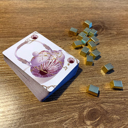 Broken and Beautiful Deluxe Edition (ONLINE ORDER ONLY)