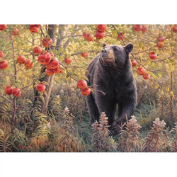 Den Dreams 500 Piece Jigsaw Puzzle Cobble Hill (ONLINE ORDER ONLY)