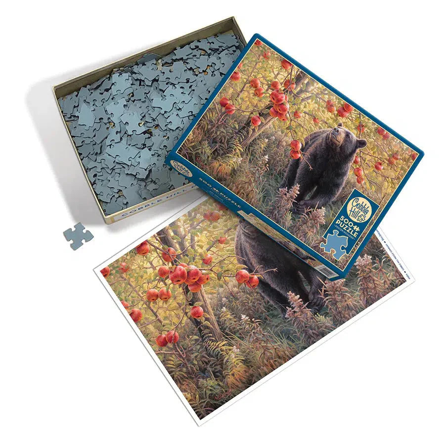 Den Dreams 500 Piece Jigsaw Puzzle Cobble Hill (ONLINE ORDER ONLY)