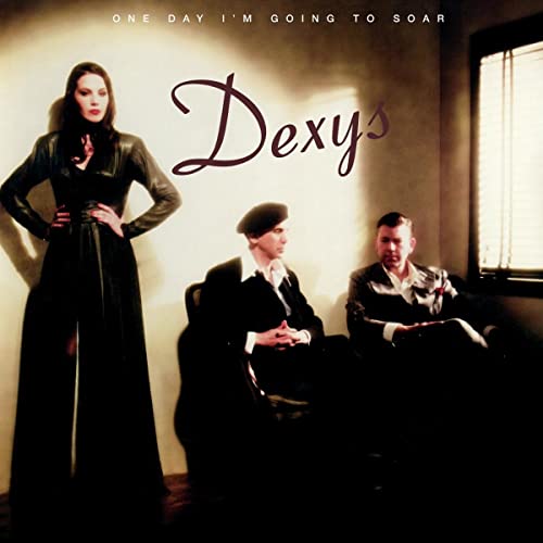 One Day I’m Going to Soar [Vinyl] (ONLINE ORDER ONLY)