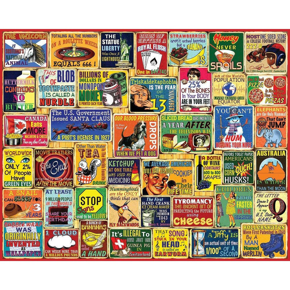Did You Know 1000 Piece Jigsaw Puzzle White Mountain (ONLINE ORDER ONLY)