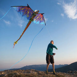 76 Inch (6 Foot) Wingspan 3-D Nylon Blue Dragon Kite (ONLINE ORDER ONLY)