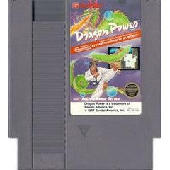 Dragon Power - NES (Online Order Only)