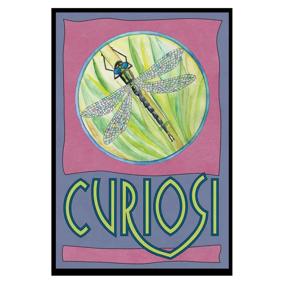 Dragonfly 33 Piece Mini Matchbox Jigsaw Puzzle Curiosi (ONLINE ORDER ONLY)