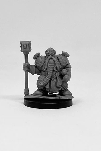 Dwarf Paladin (ONLINE ORDER ONLY)