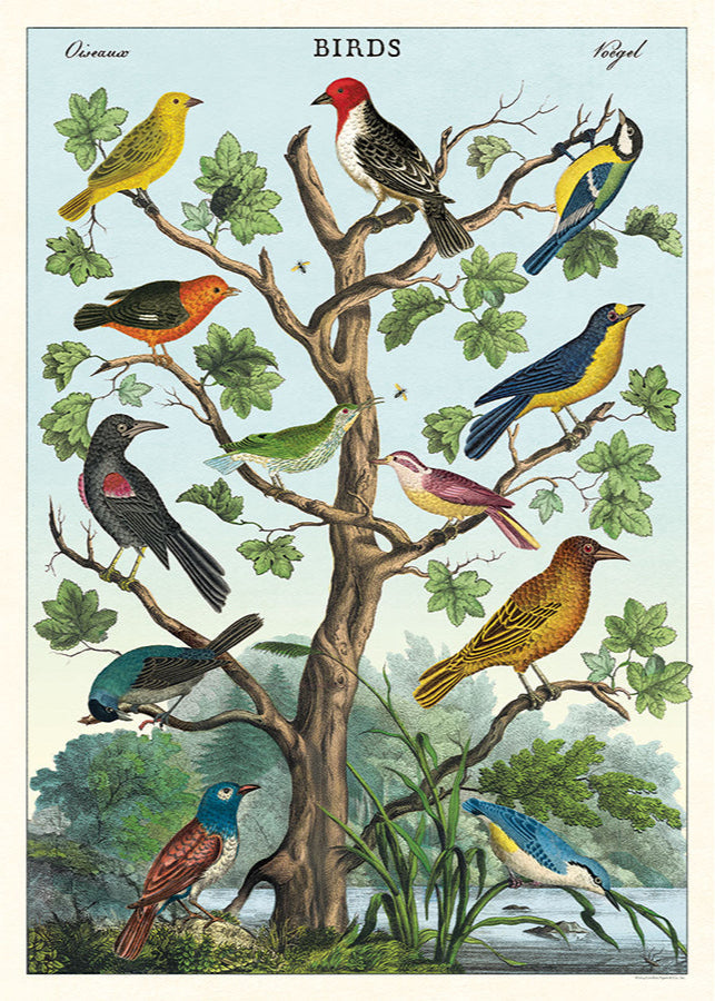 Birds in a Tree Scientific Chart (Online Order Only)