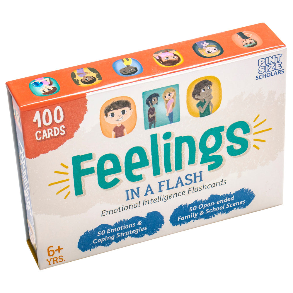 Feelings in a Flash (ONLINE ORDER ONLY)