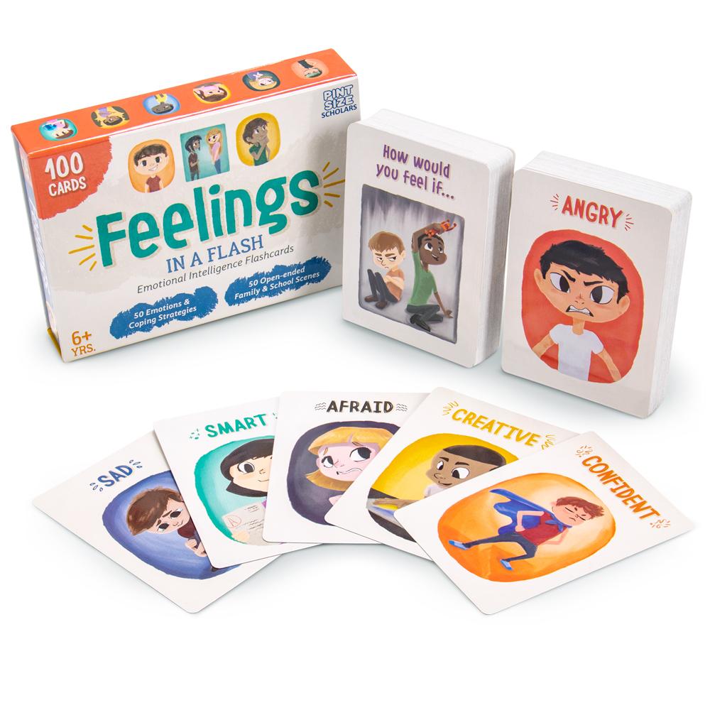 Feelings in a Flash (ONLINE ORDER ONLY)