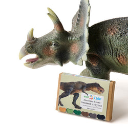 Non-Toxic Beeswax Crayons - Dinosaur Bone (ONLINE ORDER ONLY)