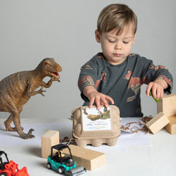 Non-Toxic Beeswax Crayons - Dinosaur Eggs (ONLINE ORDER ONLY)