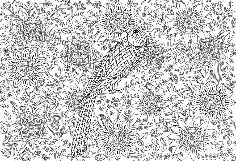 Puzzle: Color-Me Collection - Beautiful Garden