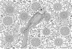 Puzzle: Color-Me Collection - Beautiful Garden