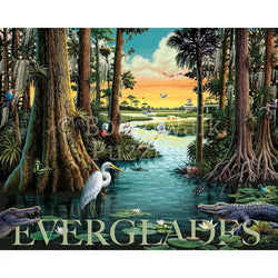 Everglades National Park 500 Piece Jigsaw Puzzle Boardwalk (ONLINE ORDER ONLY)
