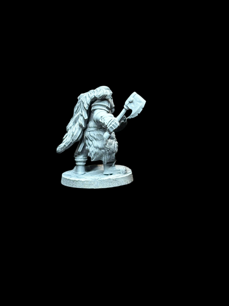 Dwarf Fighter (ONLINE ORDER ONLY)
