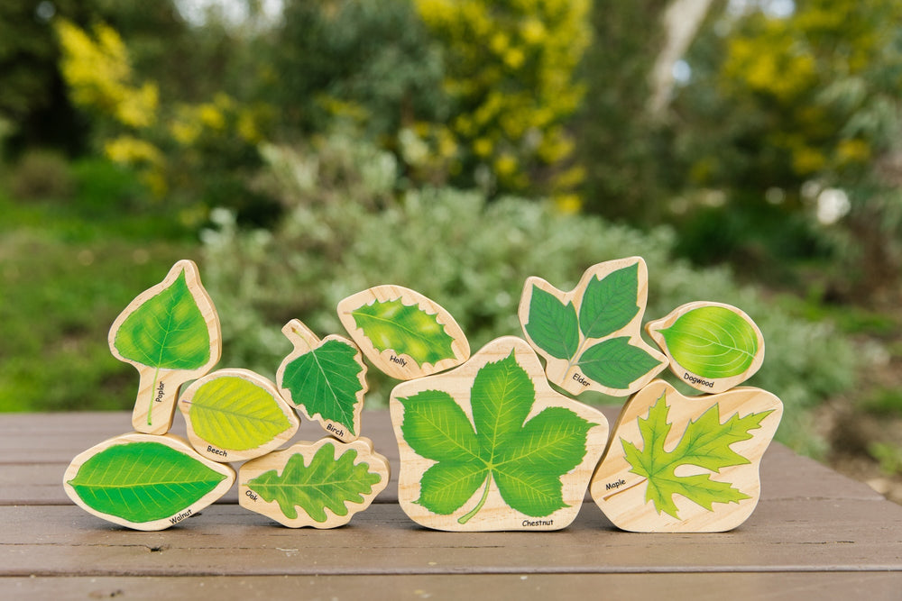 Stacking Leaves; Leaf Identification (ONLINE ORDER ONLY)