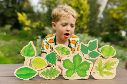 Stacking Leaves; Leaf Identification (ONLINE ORDER ONLY)