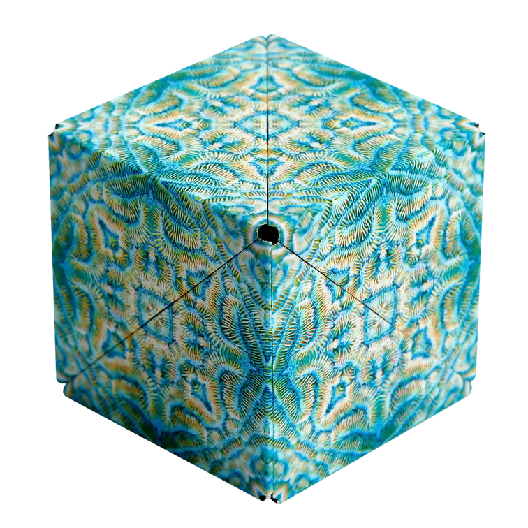Shashibo: Explorer Series - Undersea (ONLINE ORDER ONLY)