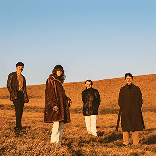 When You Walk Away [LP] [Vinyl] (ONLINE ORDER ONLY)