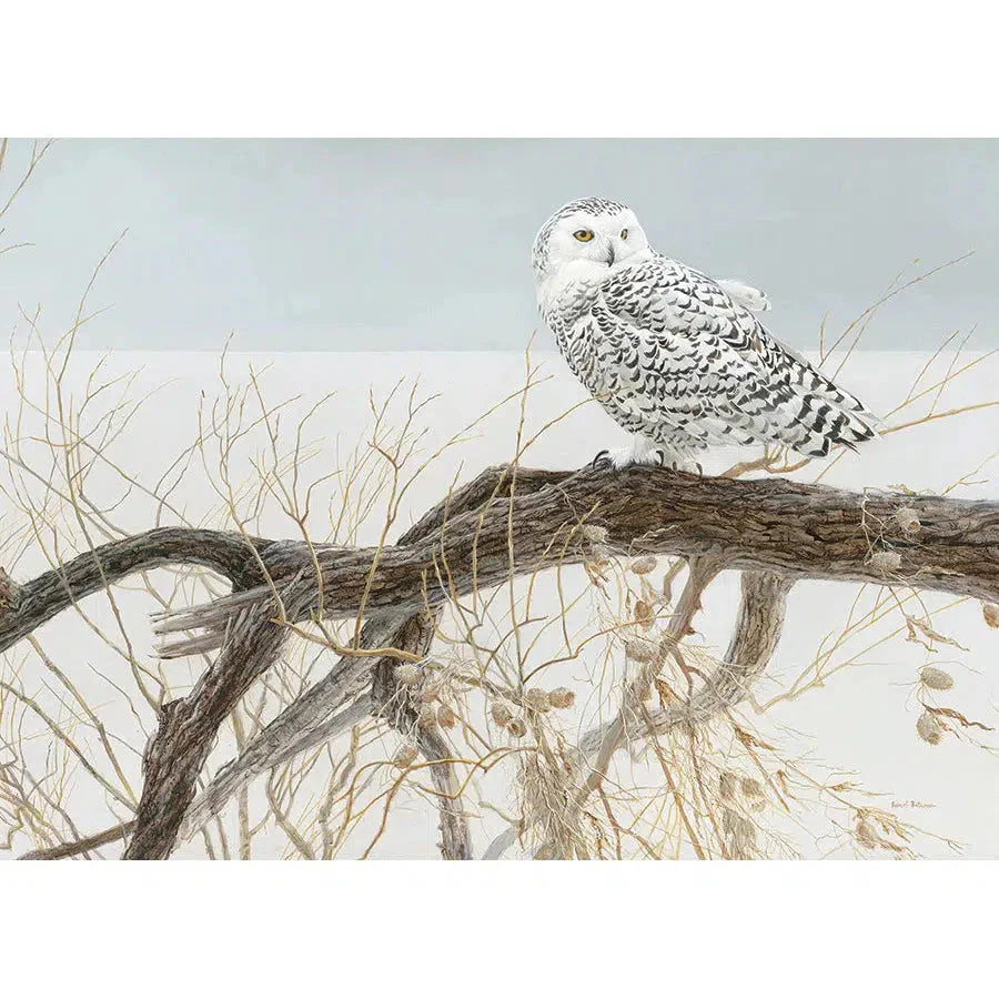 Fallen Willow - Snowy Owl 500 Piece Jigsaw Puzzle Cobble Hill (ONLINE ORDER ONLY)