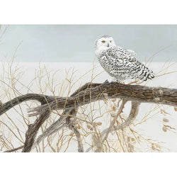Fallen Willow - Snowy Owl 500 Piece Jigsaw Puzzle Cobble Hill (ONLINE ORDER ONLY)