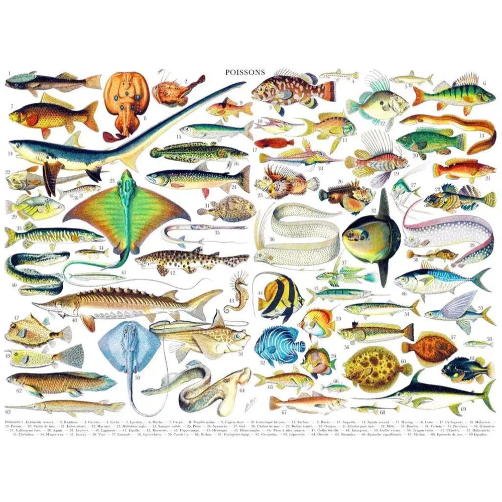 Fish ~ Poissons 1000 Piece Jigsaw Puzzle NYPC (ONLINE ORDER ONLY)