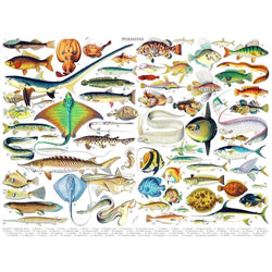 Fish ~ Poissons 1000 Piece Jigsaw Puzzle NYPC (ONLINE ORDER ONLY)