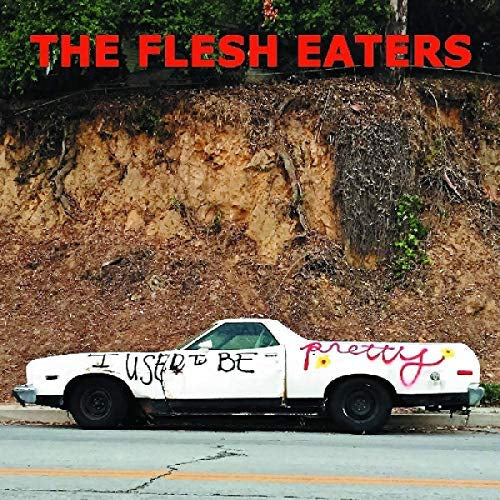 I Used To Be Pretty [Vinyl]