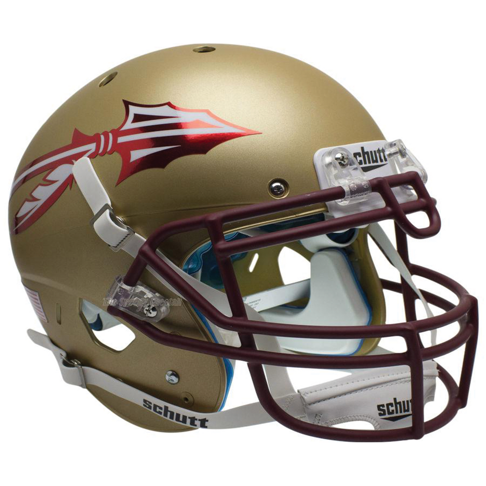Florida State Seminoles College Football Collectible Mini Helmet - Picture Inside - FANZ Collectibles (Online Order Only) (ONLINE ORDER ONLY)