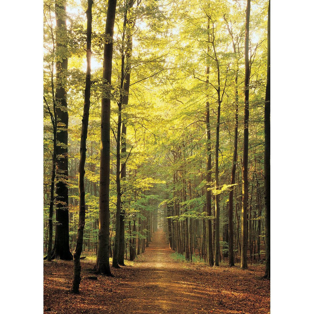 Forest Path 1000 Piece Jigsaw Puzzle Eurographics (ONLINE ORDER ONLY)