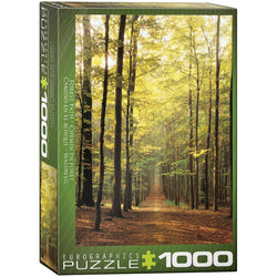 Forest Path 1000 Piece Jigsaw Puzzle Eurographics (ONLINE ORDER ONLY)