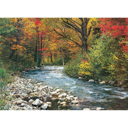 Forest Stream 1000 Piece Jigsaw Puzzle Eurographics (ONLINE ORDER ONLY)