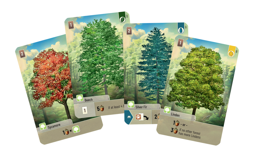 Forest Shuffle (ONLINE ORDER ONLY)