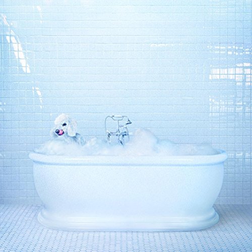 VESSEL [Vinyl] (ONLINE ORDER ONLY)