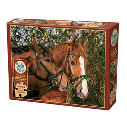 Friends Forever 275 Large Piece Jigsaw Puzzle Cobble Hill (ONLINE ORDER ONLY)