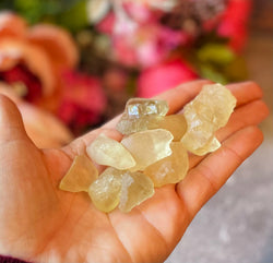 Bulk Libyan Desert Glass, Libyan Gold Tektite, 50 Gram Bags (ONLINE ORDER ONLY)