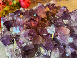 Room Stopping Amethyst (ONLINE ORDER ONLY)